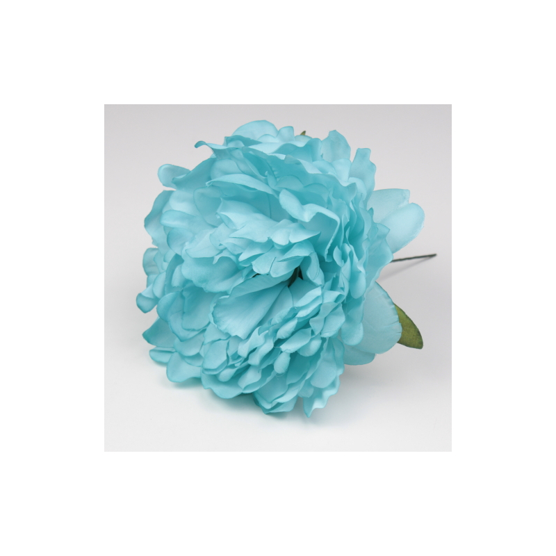 PEONIA ROSA PALO JEREZ