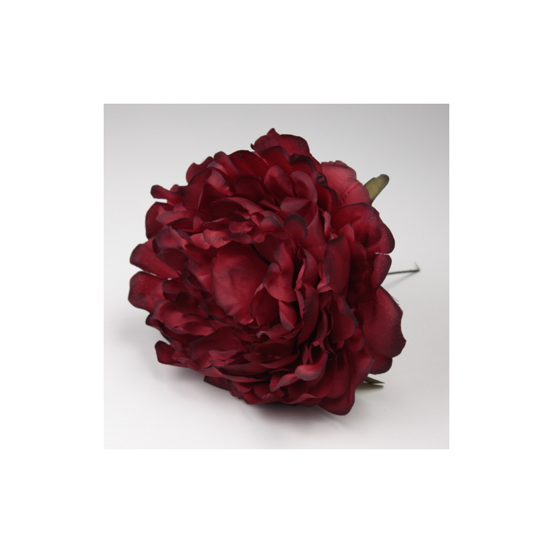 PEONIA GRANATE JEREZ
