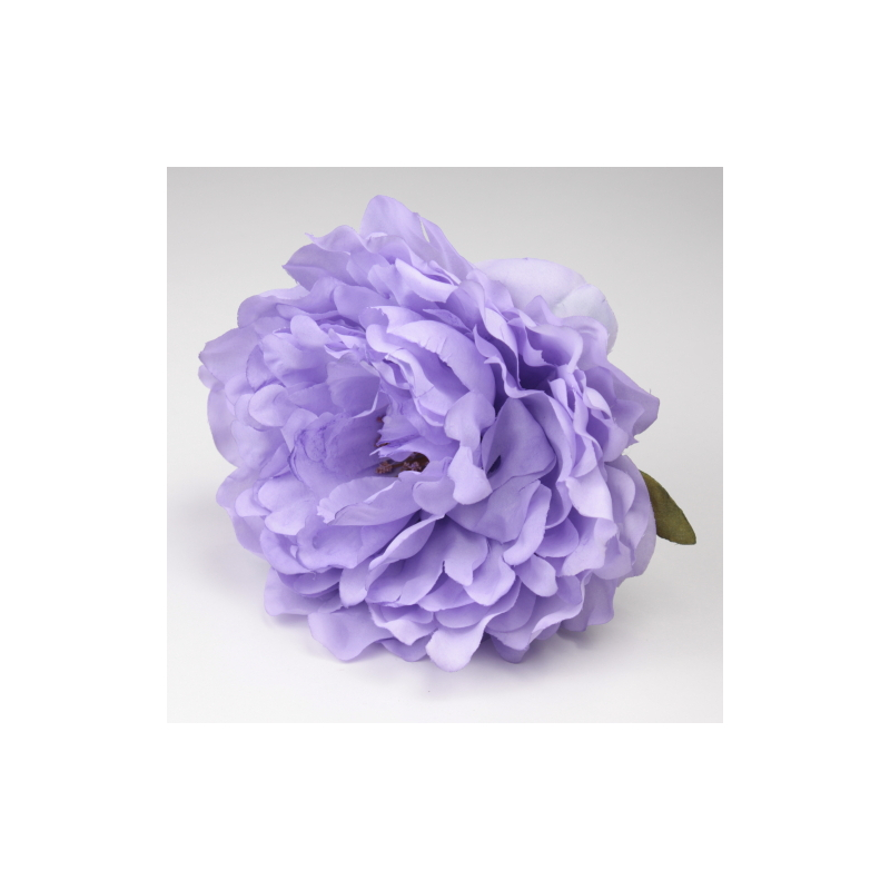 PEONIA PURPURA JEREZ