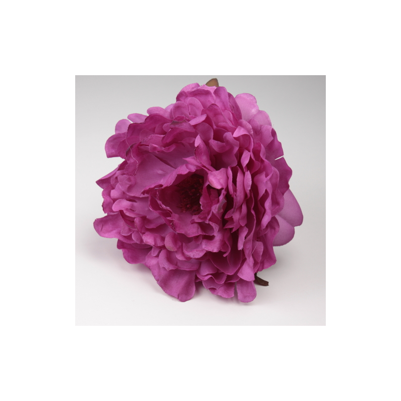 PEONIA BUGANVILLA JEREZ
