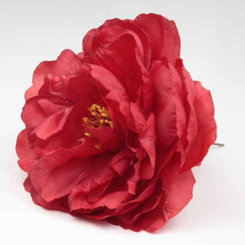 PEONIA ROJA SANLUCAR