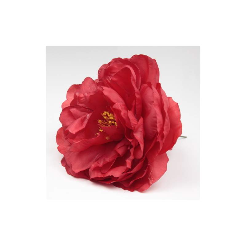 PEONIA ROJA SANLUCAR
