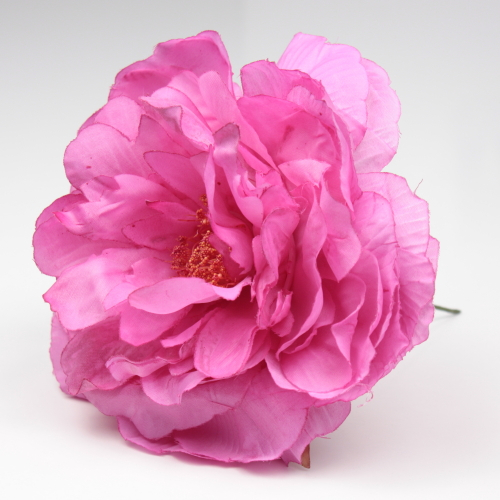 PEONIA FUCSIA SANLUCAR