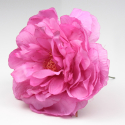 PEONIA FUCSIA SANLUCAR