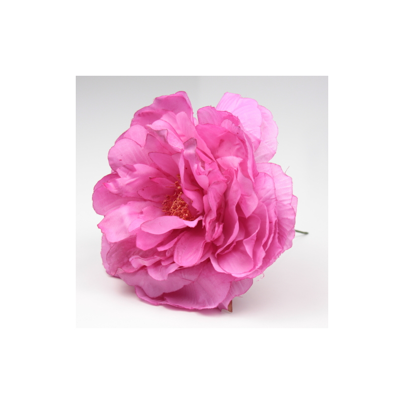 PEONIA FUCSIA SANLUCAR