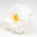 PEONIA BLANCO SANLUCAR
