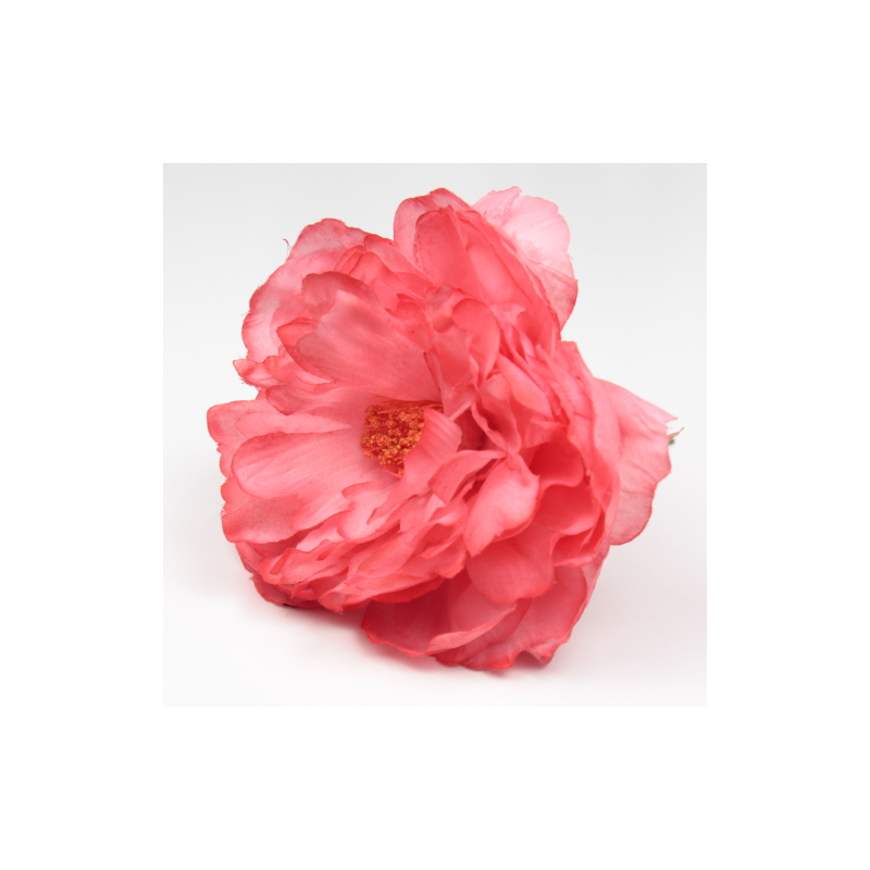 PEONIA CORAL SANLUCAR