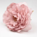 PEONIA ROSA PALO SANLUCAR