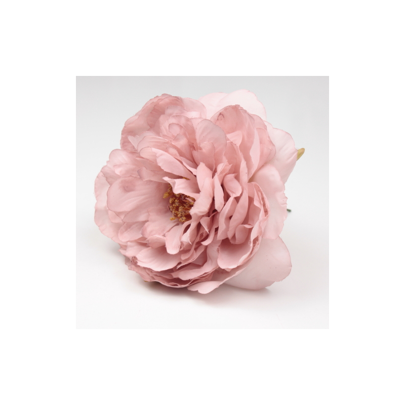 PEONIA ROSA PALO SANLUCAR