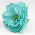 PEONIA VERDE AGUA SANLUCAR