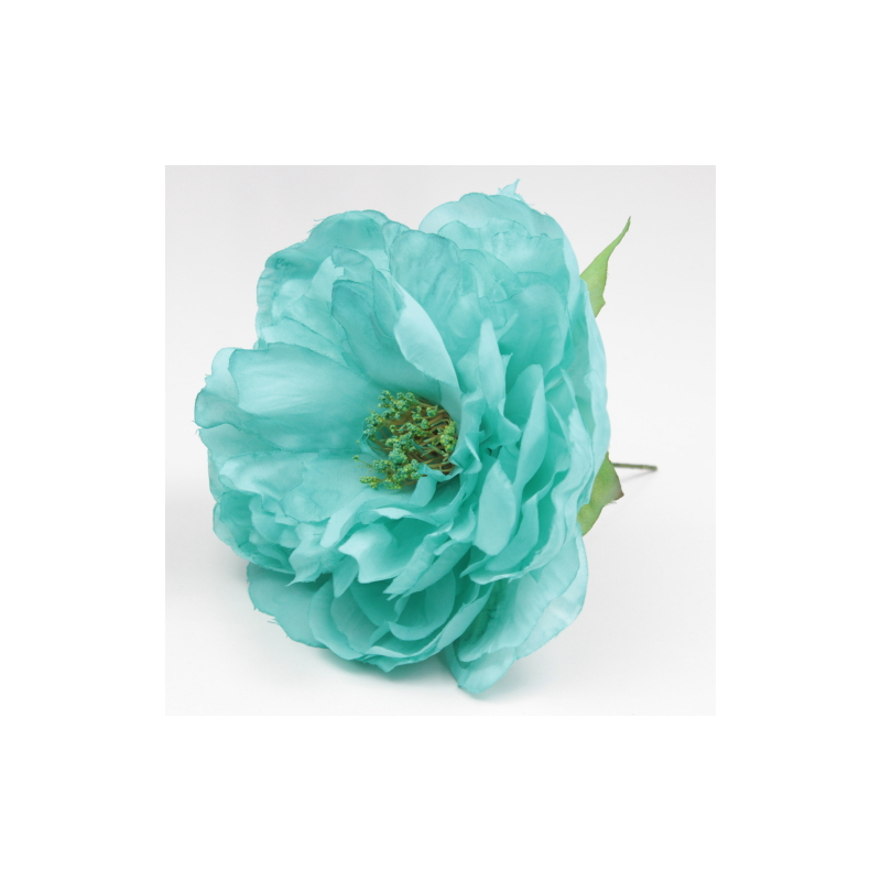 PEONIA DUCADO SANLUCAR