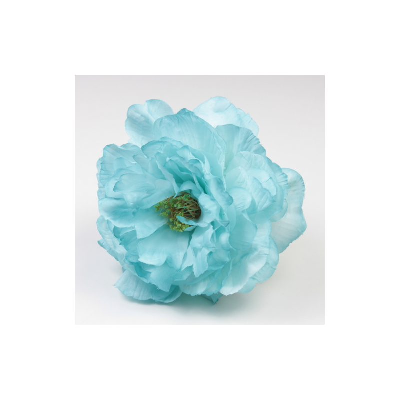 PEONIA AGUAMARINA SANLUCAR
