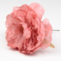 PEONIA MAQUILLAJE SANLUCAR