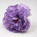 PEONIA MALVA SANLUCAR