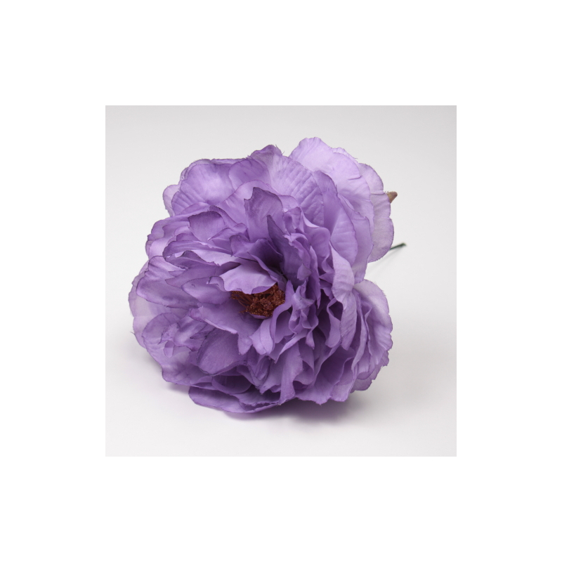 PEONIA MAQUILLAJE SANLUCAR