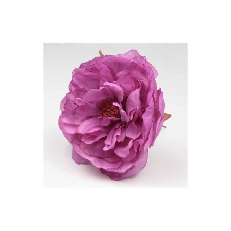 PEONIA CARDENAL SANLUCAR