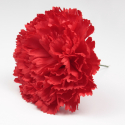 CLAVEL ROJO SEVILLA 11CM