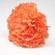CLAVEL NARANJA SEVILLA 11CM