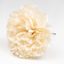 CLAVEL BEIGE SEVILLA 11CM