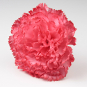 CLAVEL CORAL SEVILLA 11CM