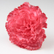 CLAVEL CORAL SEVILLA 11CM
