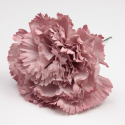 CLAVEL ROSA PALO SEVILLA 11CM