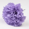 CLAVEL PURPURA SEVILLA 11CM