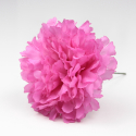 CLAVEL FUCSIA JAEN 7CM