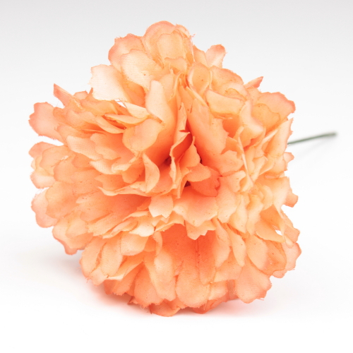 CLAVEL NARANJA JAEN 7CM