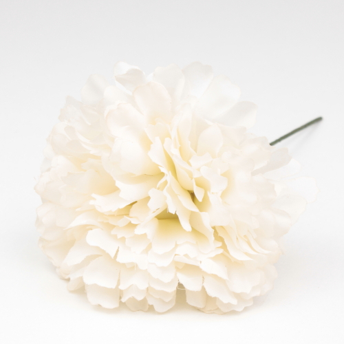 CLAVEL MARFIL JAEN 7CM