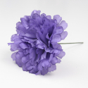 CLAVEL MORADO JAEN 7CM