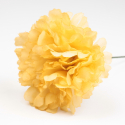 CLAVEL MOSTAZA JAEN 7CM