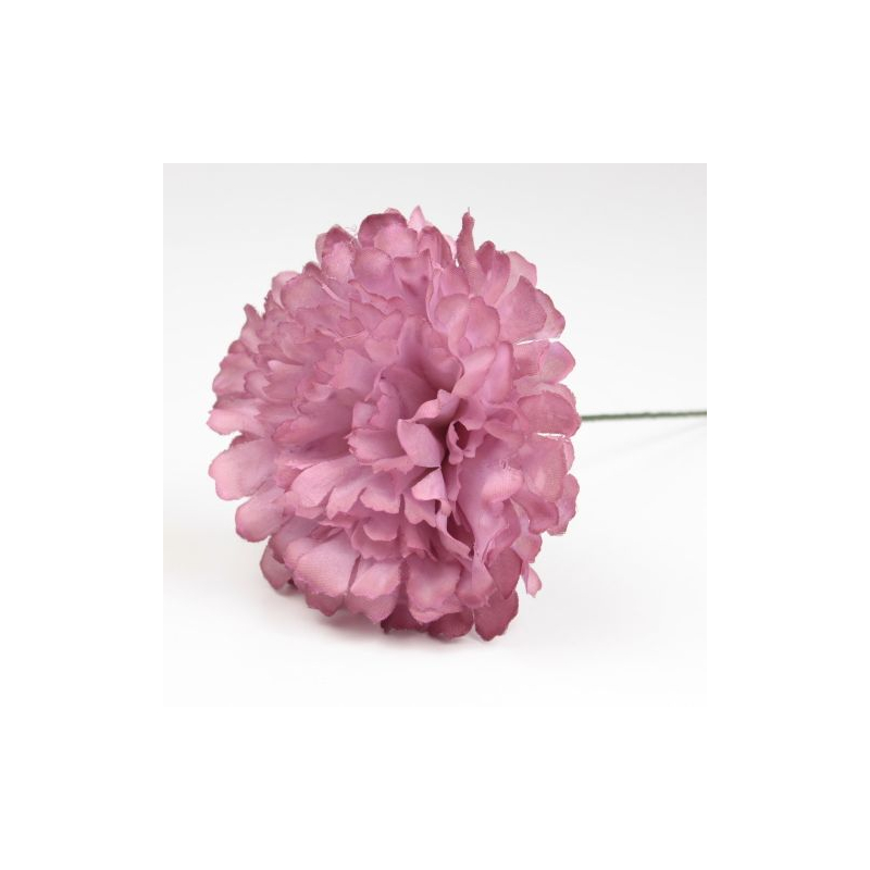 CLAVEL QUISQUILLA JAEN 7CM