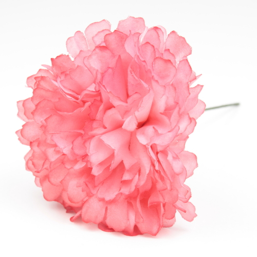 CLAVEL CORAL JAEN 7CM