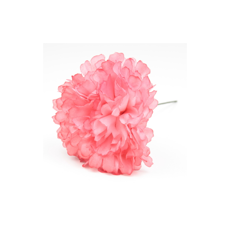 CLAVEL QUISQUILLA JAEN 7CM
