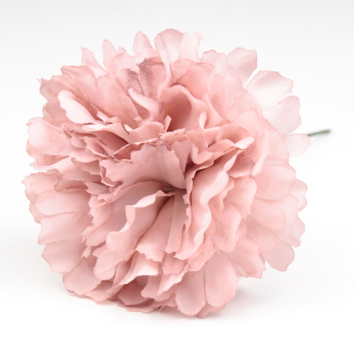 CLAVEL ROSA PALO JAEN 7CM