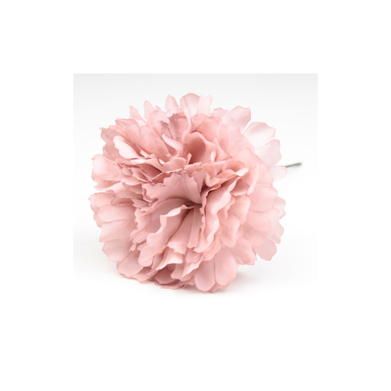 CLAVEL CORAL JAEN 7CM