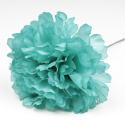 CLAVEL AGUAMARINA JAEN 7CM