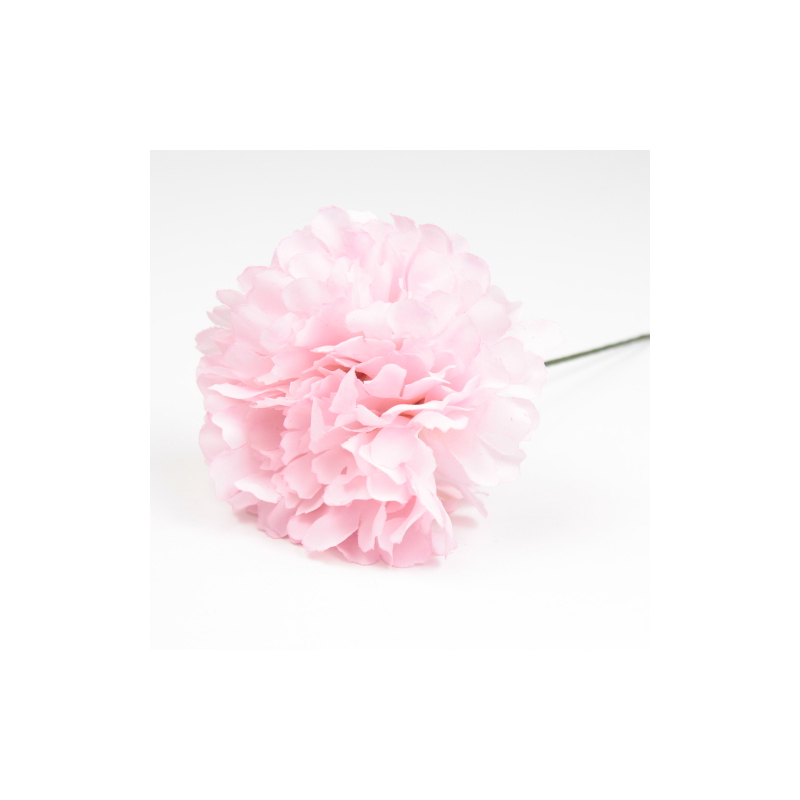 CLAVEL GRANATE JAEN 7CM