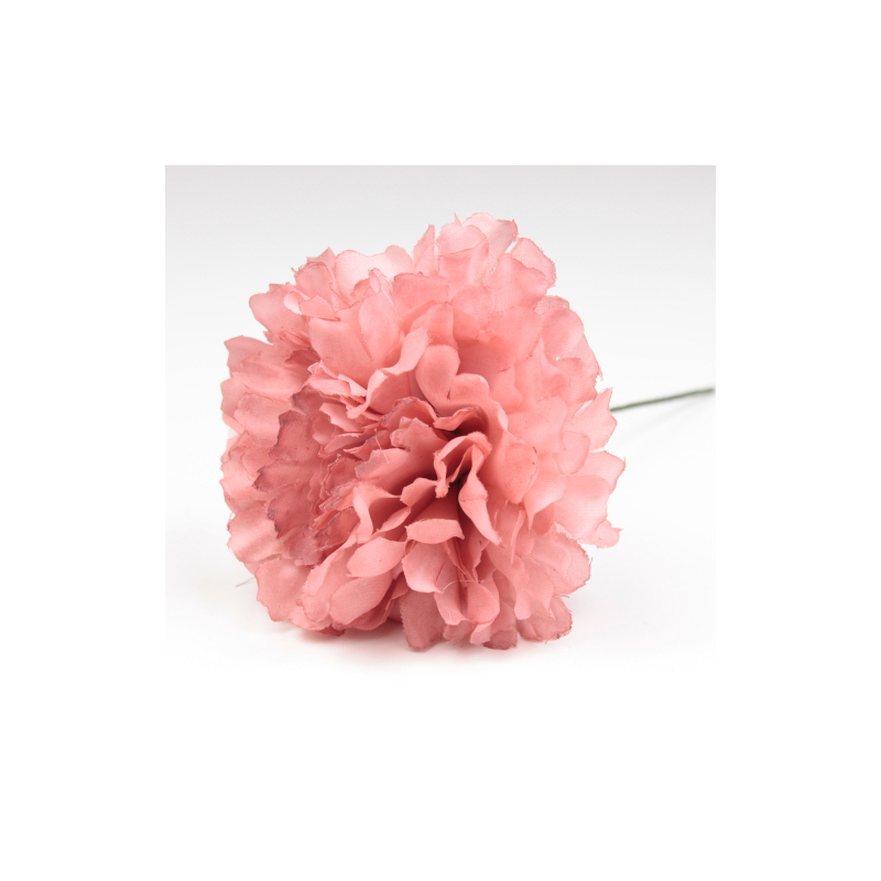 CLAVEL ROSA BEBE JAEN 7CM