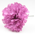 CLAVEL BUGANVILLA JAEN 7CM