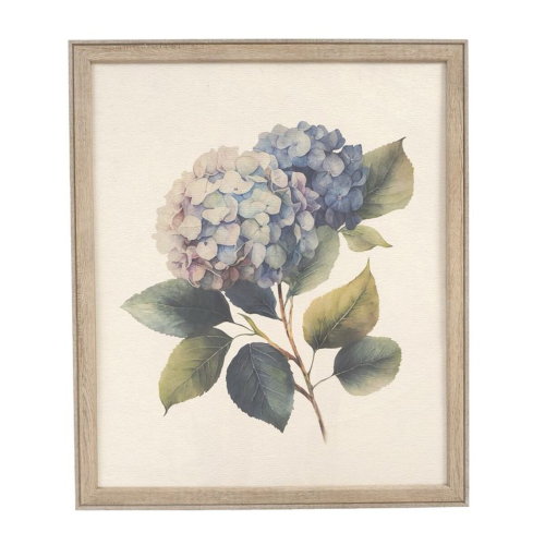 CUADRO 50X60 HORTENSIAS