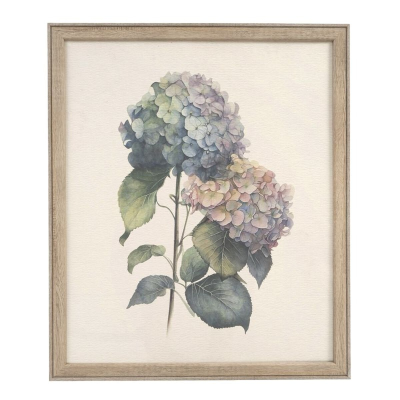 CUADRO 50X60 HORTENSIAS