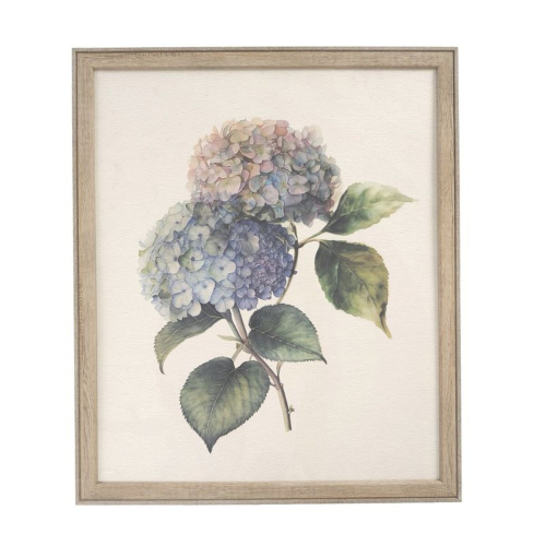 CUADRO 50X60 HORTENSIAS