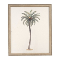CUADRO 50X60 PALMERAS