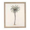 CUADRO 50X60 PALMERAS