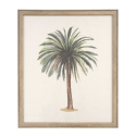 CUADRO 50X60 PALMERAS