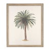 CUADRO 50X60 PALMERAS