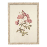 CUADRO 40X54 FLORES
