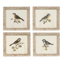 CUADRO 21X18 PAJAROS 4M